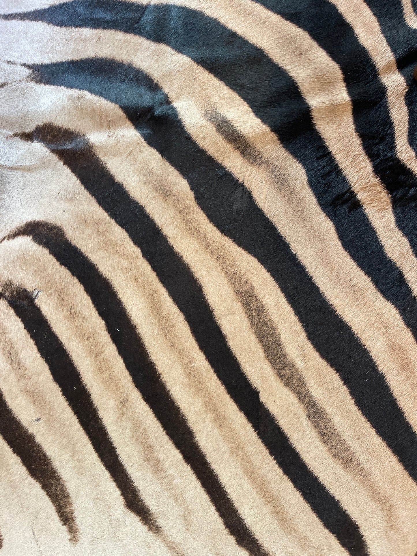 Zebra tapijt