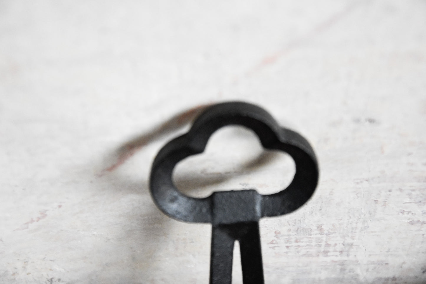Flessenopener (clover) -zwart
