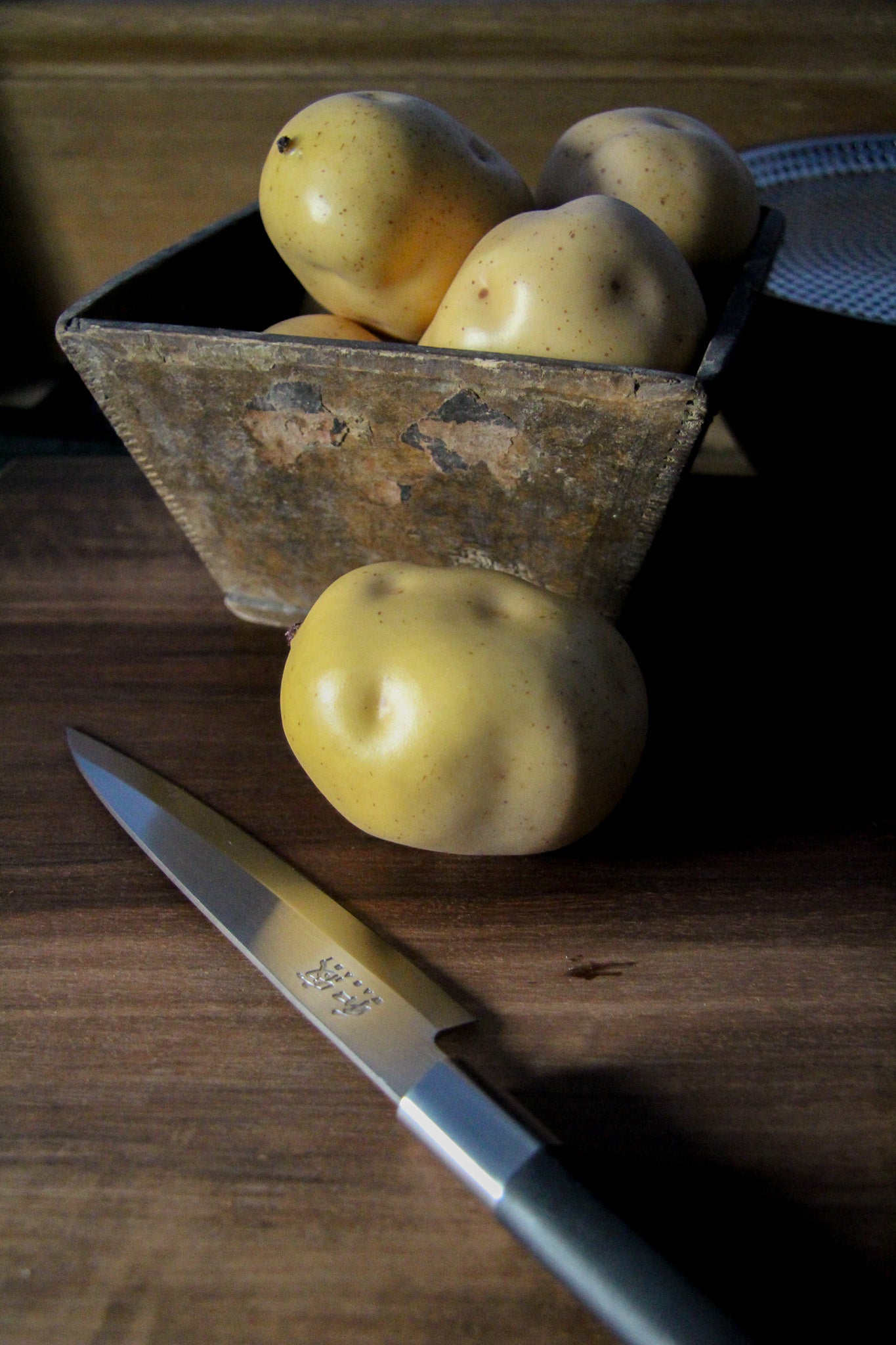 Yanagiba S