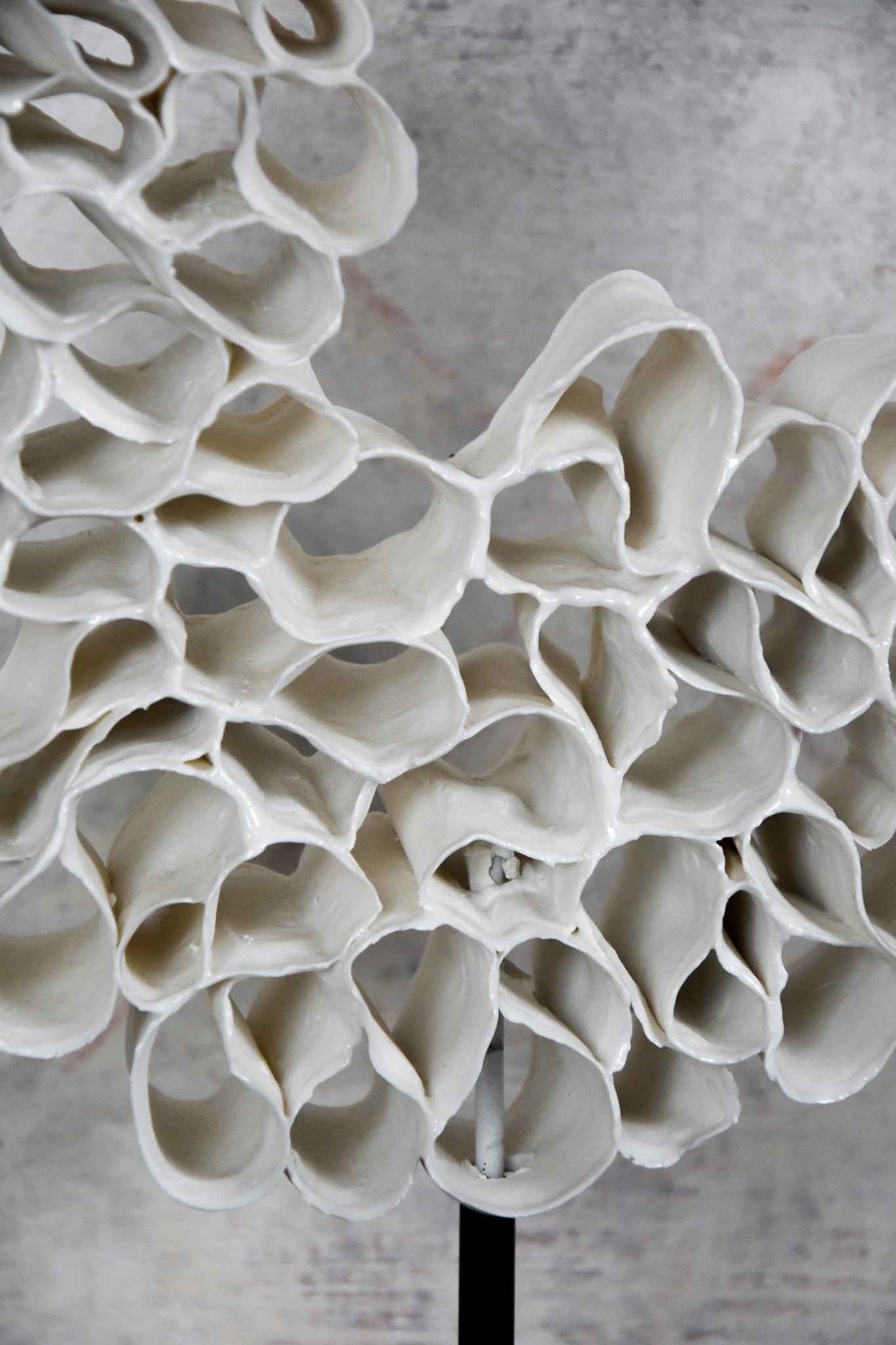 Entrelacs Sculpture