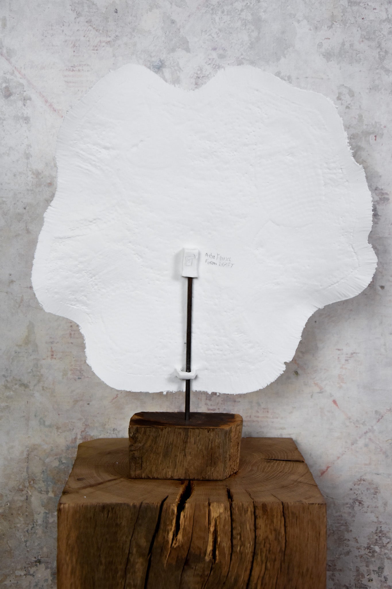 Astre Marin Sculptuur