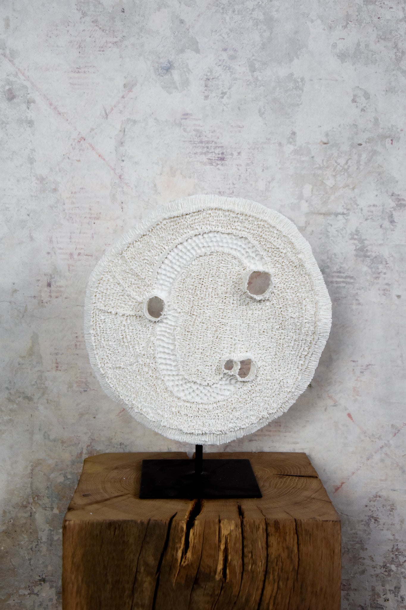 Astre Marin Visage Sculpture