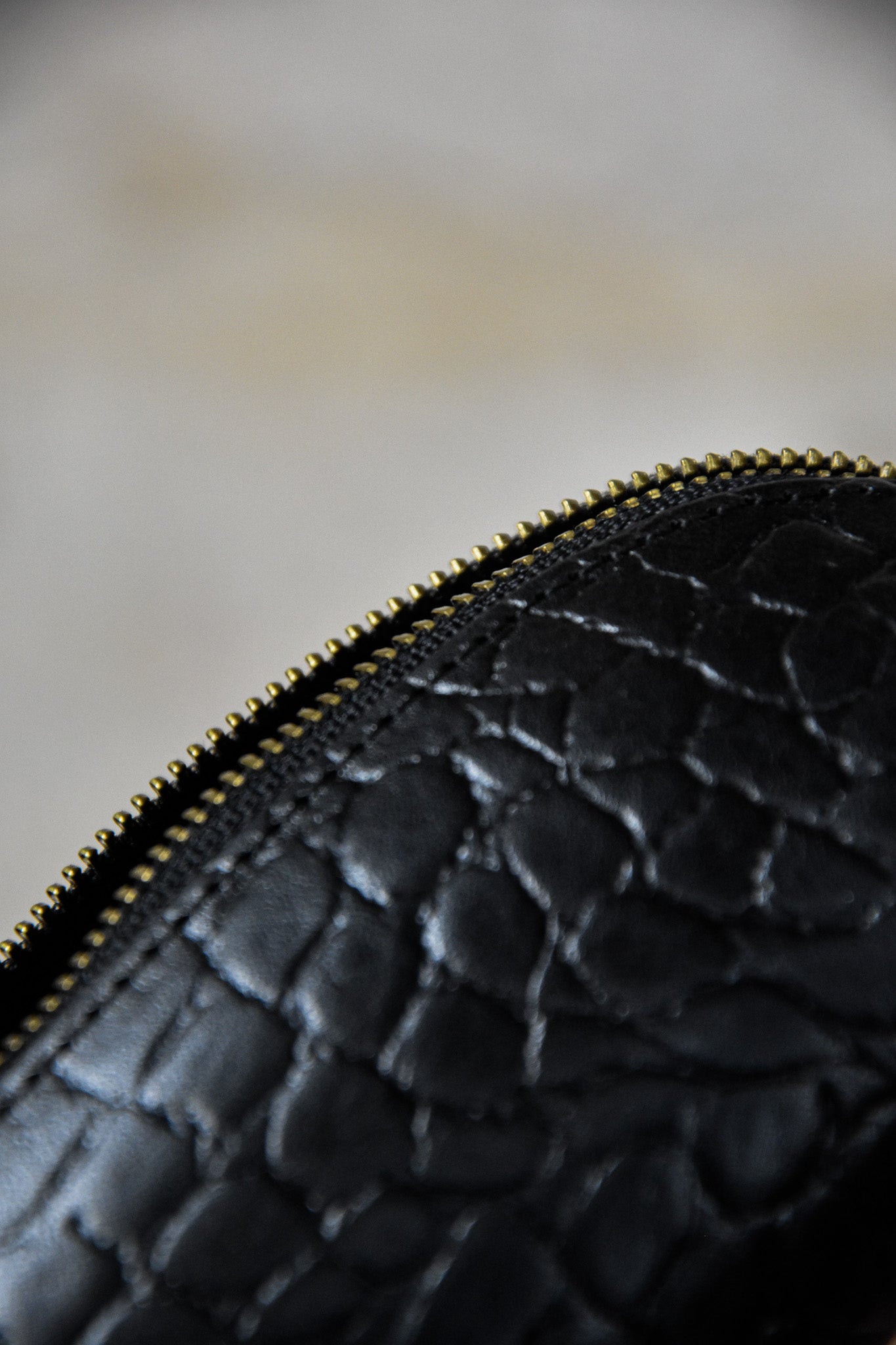 Etui klein Croco