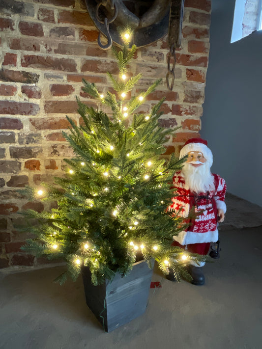 Kerstboom in houten pot