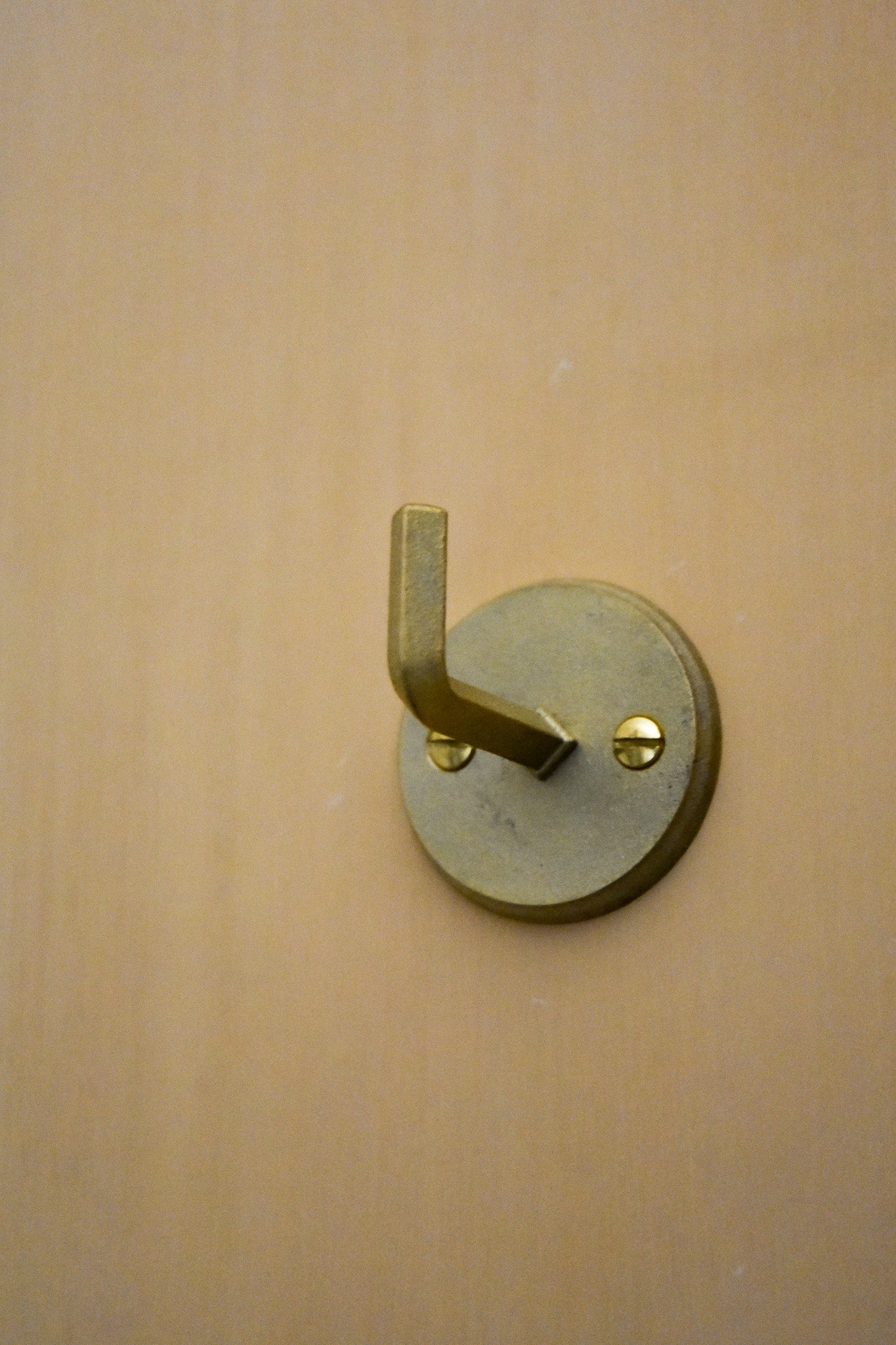 Wall hook with plate circle